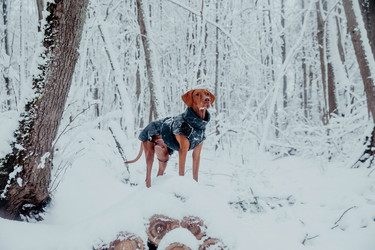 Similar image 21352661