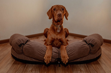 Similar image 21352662