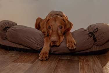 Similar image 21352663