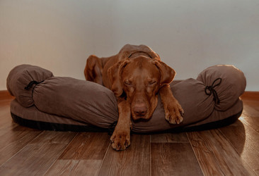 Similar image 21352664