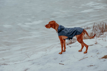 Similar image 21352666