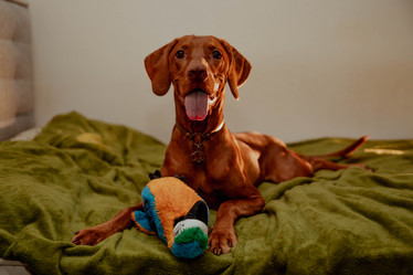 Similar image 21352667