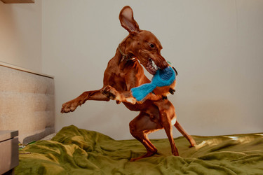 Similar image 21352668