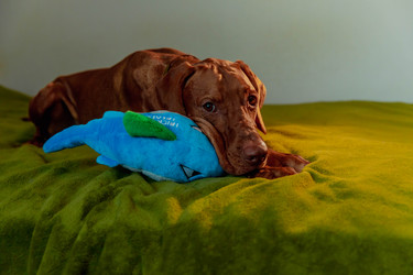 Similar image 21352669