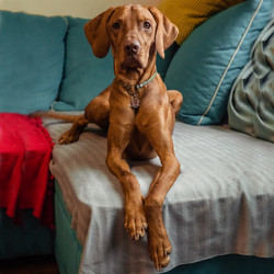 Similar image 21352670