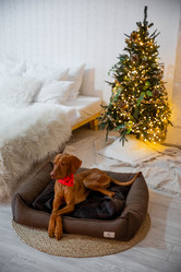 Similar image 21352689