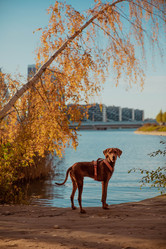 Similar image 21352691