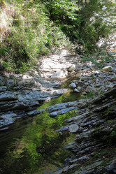 Similar image 21349308