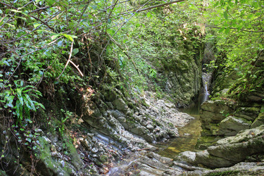 Similar image 21349309