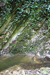 Similar image 21349310