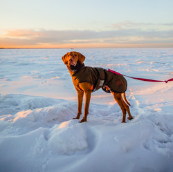 Similar image 21352695