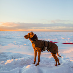 Similar image 21352720