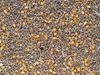 Similar image 21348416