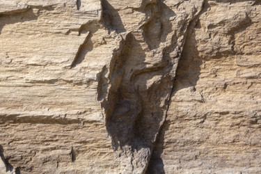 Similar image 21348418