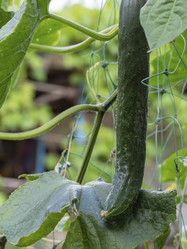 Similar image 21348419