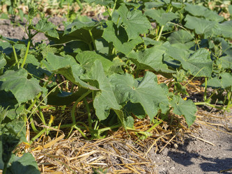 Similar image 21348421