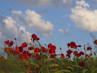 Similar image 21348423