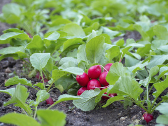 Similar image 21348427