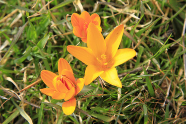 Similar image 21349352