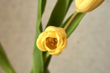 Similar image 21375565