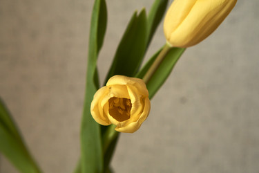 Similar image 21375566