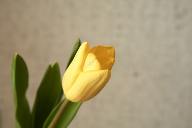 Similar image 21375567