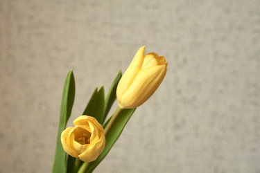 Similar image 21375568