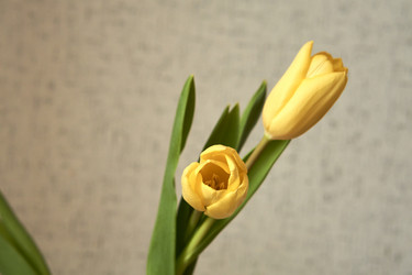 Similar image 21375569