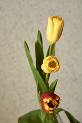 Similar image 21375570