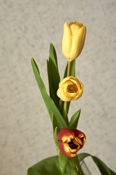 Similar image 21375571