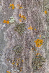 Similar image 21356095