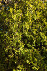 Similar image 21356096