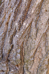 Similar image 21356097