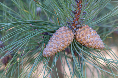 Similar image 21356098