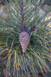 Similar image 21356099