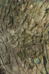 Similar image 21356108