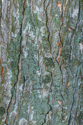 Similar image 21356110