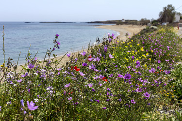 Similar image 21379122