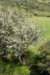 Similar image 21379123