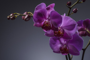 Similar image 21353233