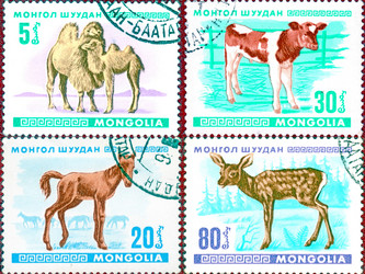 Similar image 21362090