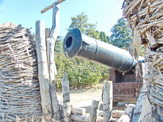 Similar image 21353645