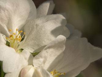 Similar image 21349403