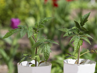 Similar image 21349404