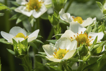 Similar image 21349405