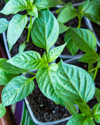 Similar image 21349406