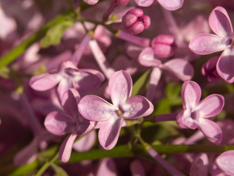 Similar image 21349411