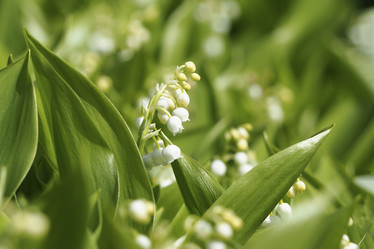 Similar image 21349416