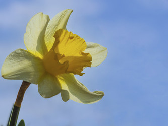 Similar image 21349417