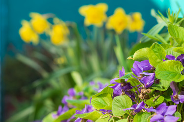 Similar image 21349418